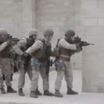 Gifs