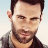 Adam Levine